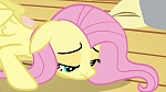 Image Mon Petit Poney - Les amies c'est magique S3