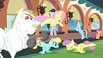 Mon Petit Poney - Les amies, c'est magique! S4 picture