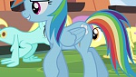 Mon Petit Poney - Les amies, c'est magique! S4 picture