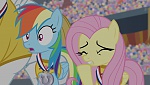 Mon Petit Poney - Les amies, c'est magique! S4 picture