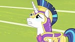Mon Petit Poney - Les amies, c'est magique! S4 picture