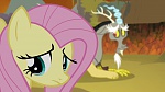 Mon Petit Poney - Les amies, c'est magique! S4 picture