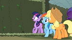 Mon Petit Poney - Les amies c'est magique S2 picture