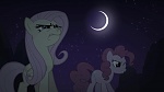 Image Mon Petit Poney - Les amies c'est magique S2