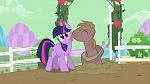 Image Mon Petit Poney - Les amies c'est magique S2