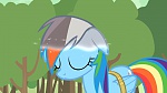 Image Mon Petit Poney - Les amies c'est magique S2