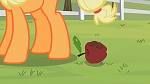 Image Mon Petit Poney - Les amies c'est magique S2
