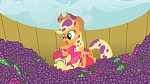Image Mon Petit Poney - Les amies c'est magique S2