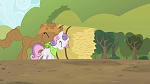 Image Mon Petit Poney :  Sisterhooves Social