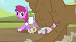 Image Mon Petit Poney - Les amies c'est magique S2