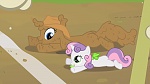 Image Mon Petit Poney :  Sisterhooves Social