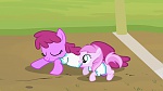Image Mon Petit Poney - Les amies c'est magique S2