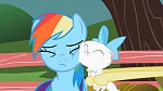 Image Mon Petit Poney :  May the Best Pet Win!