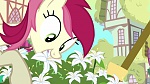 Image Mon Petit Poney : A Friend in Deed 