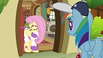 My Little Pony : Hurricane Fluttershy  picture