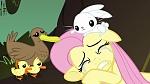 Image Mon Petit Poney - Les amies c'est magique S2