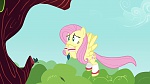 Image Mon Petit Poney - Les amies c'est magique S2