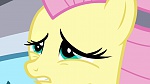 Image Mon Petit Poney - Les amies c'est magique S2