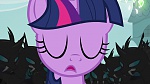 Image Mon Petit Poney - Les amies c'est magique S2