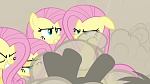 Image Mon Petit Poney - Les amies c'est magique S2
