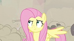 Image Mon Petit Poney - Les amies c'est magique S2