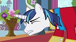 Image Mon Petit Poney - Les amies c'est magique S2