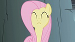 Image MLP:FIM Season 1