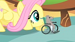 Image MLP:FIM Season 1