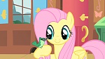 Image MLP:FIM Season 1