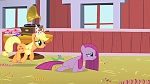 MLP:FIM Season 1 picture