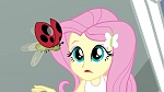 Equestria Girls 2 - Rainbow Rocks picture