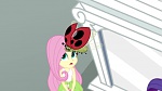 Equestria Girls 2 - Rainbow Rocks picture