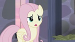Image Mon petit poney : Les amies, c'est magique, saison 5