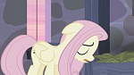 Image Mon petit poney : Les amies, c'est magique, saison 5