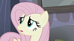 Image Mon petit poney : Les amies, c'est magique, saison 5
