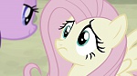 Image Mon petit poney : Les amies, c'est magique, saison 5