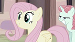 Image Mon petit poney : Les amies, c'est magique, saison 5