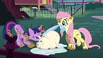 Image Mon petit poney : Les amies, c'est magique, saison 5
