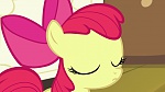 Image Mon petit poney : Les amies, c'est magique, saison 5