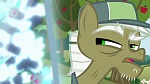 Image Mon petit poney : Les amies, c'est magique, saison 5