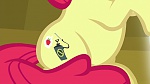 Image Mon petit poney : Les amies, c'est magique, saison 5