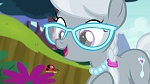 Image Mon petit poney : Les amies, c'est magique, saison 5