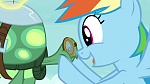 My Little Pony :  picture
