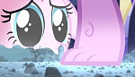Season 5 picture