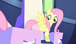 Season 5 picture