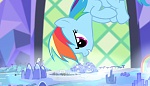 Season 5 picture