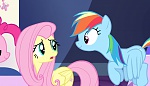 Season 5 picture