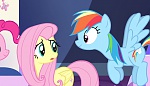 Season 5 picture
