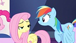 Season 5 picture