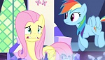 Season 5 picture